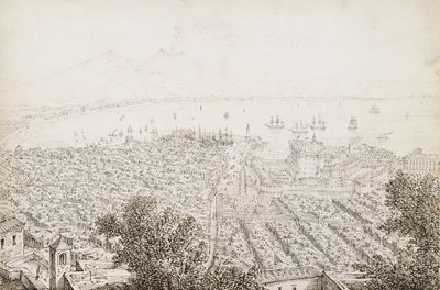 Uma vista panorâmica de Nápoles de Antonio Senape