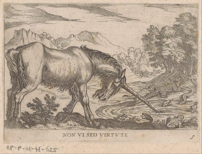 Um unicórnio persegue lagartos de uma lagoa Virtude não vista (título no objeto) Animais de luta (título da série) de Antonio Tempesta