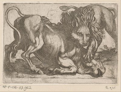 Um leão a atacar um touro
Animais de combate (título da série) de Antonio Tempesta