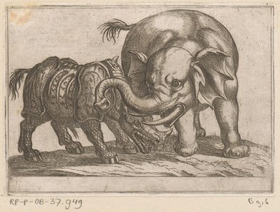 Um rinoceronte luta contra um elefante
Animais de combate (título da série) de Antonio Tempesta