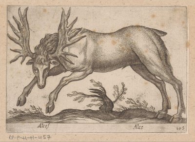 Elande Alce/ Alce (título no objeto) Dieren en fablewezens (título da série) Nova coleção dos animais mais curiosos do mundo (título da série) de Antonio Tempesta
