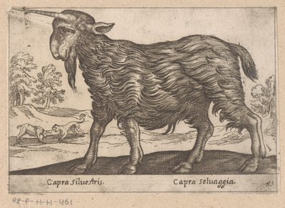 Geit met één hoorn
Capra Silvestris/ Capra Selvaggia (título sobre o objecto)
Dieren en fabelwezens (título da série)
Nova raccolta de li animali più curiosi del mondo (título da série) de Antonio Tempesta