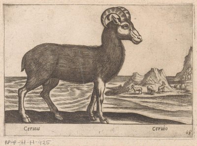 Gemas Cerinis / Ceruio (título no objeto) Dieren en fabelwezens (título da série) Nova coleção dos animais mais curiosos do mundo (título da série) de Antonio Tempesta