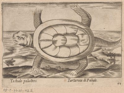 portugese de Antonio Tempesta