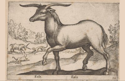 Cavalo com chifres Eale/Eale (título no objeto) Animais e criaturas míticas (título da série) Nova raccolta de li animali piu curiosi del mondo (título da série) de Antonio Tempesta