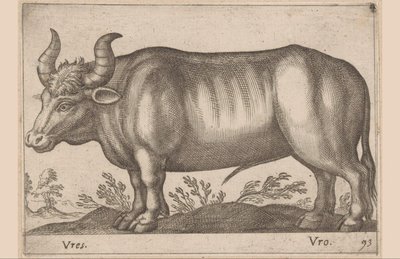 Redondo Vres/ Vro (título no objeto) Animais e criaturas míticas (título da série) Nova raccolta de li animali piu curiosi del mondo (título da série) de Antonio Tempesta
