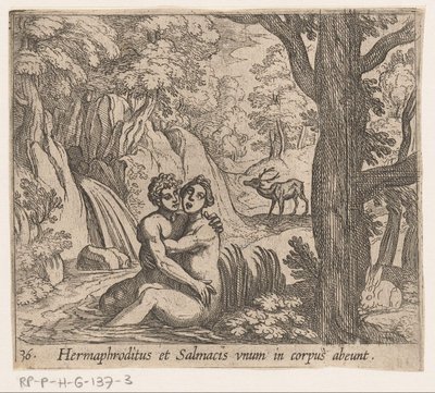 Salmacis en Hermaphroditus
Hermaphroditus et Salmacis unum in corpus abeunt (título sobre o objecto)
Metamorfoseon sive transformationum (título da série)
Metamorfosen van Ovidius (título da série) de Antonio Tempesta