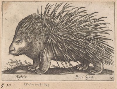Stekelvarken
Hijstrix/ Porco Spinoso (título sobre o objecto)
Dieren en fabelwezens (título da série)
Nova raccolta de li animali più curiosi del mondo (título da série) de Antonio Tempesta