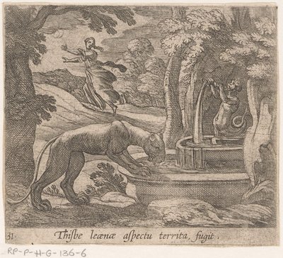 Thisbe vlucht para o leeuwin pelo bron Este é um aspecto do território fugitivo (título no objeto) Metamorfose e Transformação (título da série) As Metamorfoses de Ovídio (título da série) de Antonio Tempesta