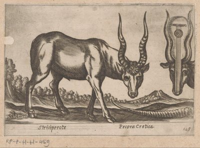 Dois antílopes Striciperote/Gado cretense (título no objeto) Dieren en fablewezens (título da série) Nova raccolta de li animali piu curiosi del mondo (título da série) de Antonio Tempesta