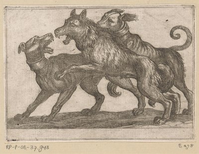 Dois cães a lutar contra um lobo
Animais de combate (título da série) de Antonio Tempesta