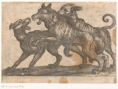 Dois cães lutando contra um lobo Animais de luta (título da série) de Antonio Tempesta