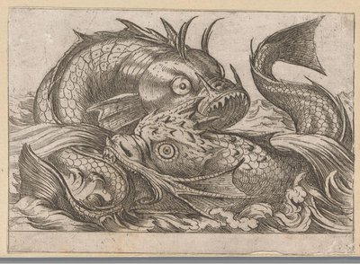 Dois peixes de luta Animais de luta (título da série) de Antonio Tempesta