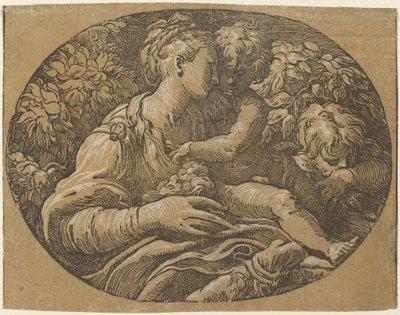 A Virgem com a Rosa de Antonio da Trento after Parmigianino