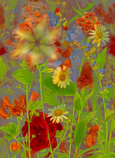  de Antonius Antonius