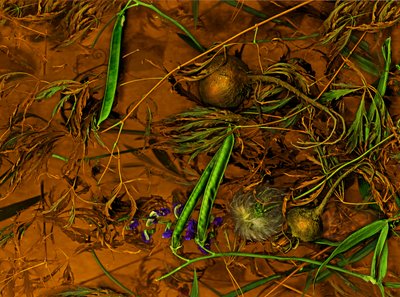  de Antonius Antonius