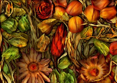  de Antonius Antonius