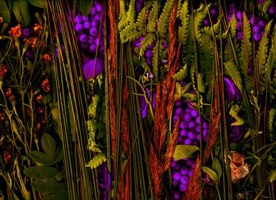  de Antonius Antonius