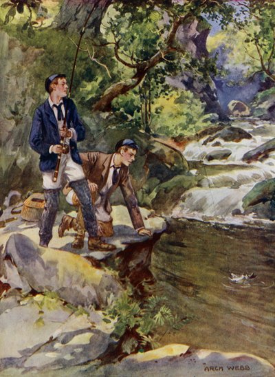Apanhar uma truta (cor litho) de Archibald Bertram (after) Webb