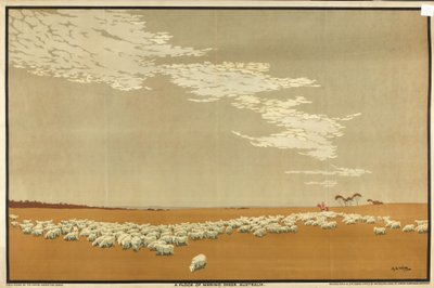 Um rebanho de ovelhas Merino - Austrália, da série "Australia