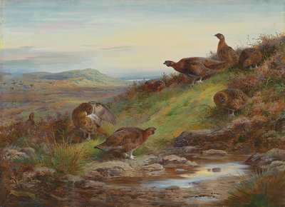 Um bando de perdizes vermelhos perto de uma nascente de Archibald Thorburn
