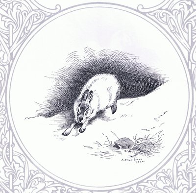 Mountain Hare, pub. por Book Club Associates de Archibald Thorburn