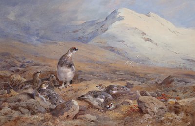 No chão Ptarmigan (aquarela) de Archibald Thorburn