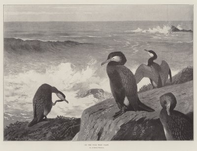 Na costa oeste selvagem de Archibald Thorburn