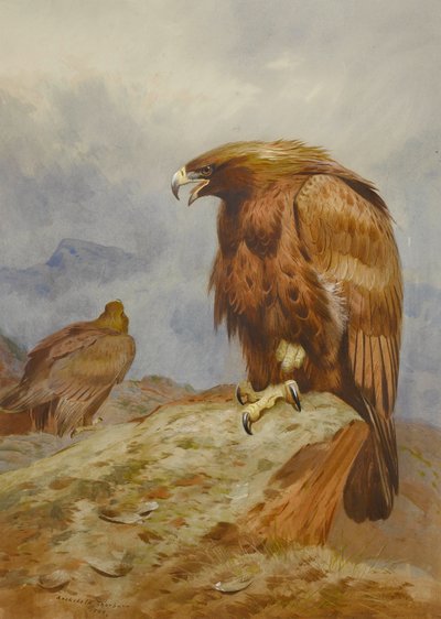 Par de águias douradas de Archibald Thorburn