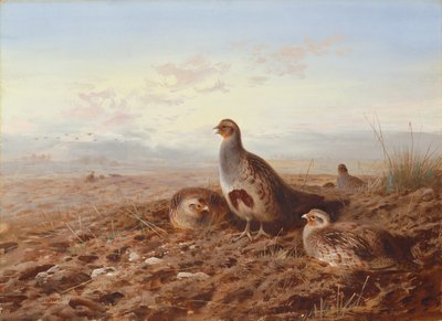 Perdizes entre os restolhos de Archibald Thorburn