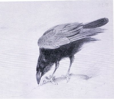 Raven, pub. por Book Club Associates de Archibald Thorburn