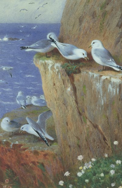 Gaivotas de Archibald Thorburn