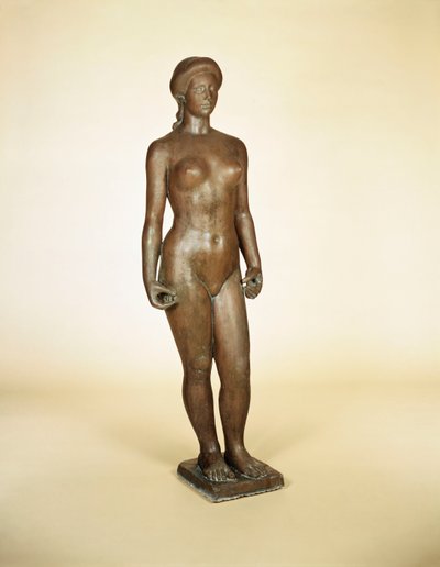 Estudo para a flora de Aristide Maillol