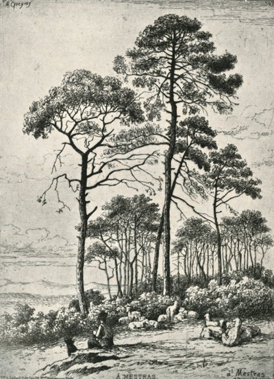 Floresta. de Armand Queyroy