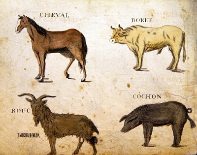 Ilustrações de 