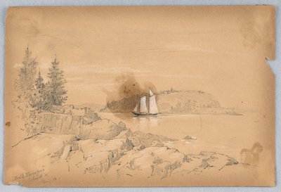 Ilha do porco-espinho careca de Arnold William Brunner