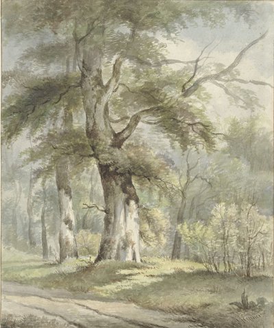 vista da floresta de Arnoldus Johannes Eymer