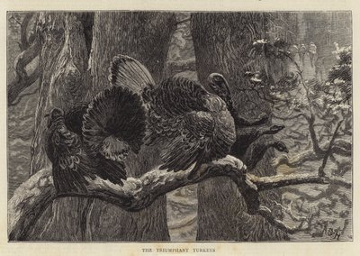 Os perus triunfantes de Arthur Boyd Houghton