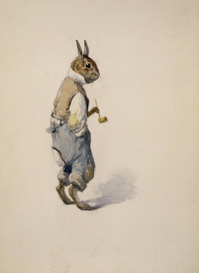 Br ”é Coelho, 1881-1928 de Arthur Burdett Frost
