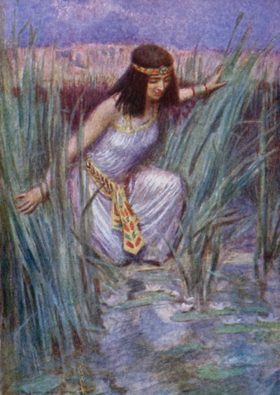 As flores de lótus (cor litho) de Arthur C. (after) Michael