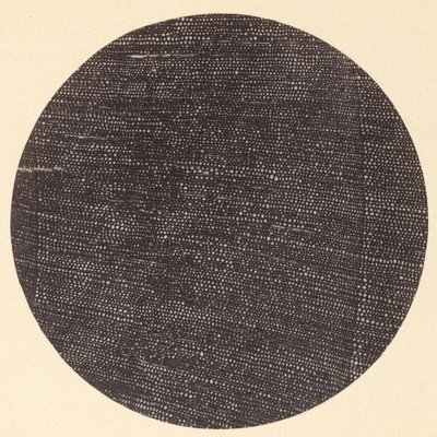 Microfotografia da Seção Transversal de Wood Salisbury, década de 1870. de Arthur Durham