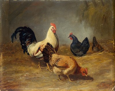Alimentação de aves de capoeira de Arthur Fitzwilliam Tait