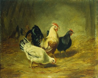 Alimentação de aves de capoeira de Arthur Fitzwilliam Tait