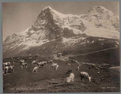 Vacas no Kleine Scheidegg no Bernese Oberland, ao fundo o Eiger e o Mönch Kleine Scheidegg, Eiger und Moench (título no objeto) de Arthur Gabler