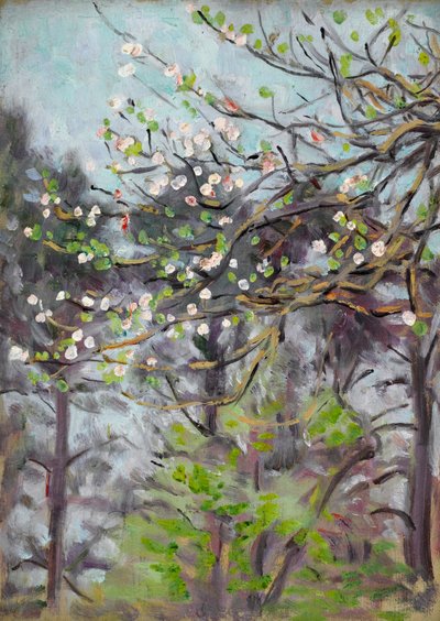 Cerejeira em flor com pinheiros no fundo de Arthur Haythorne Studd