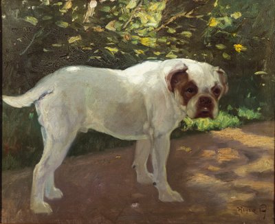 Um Bulldog em um Caminho de Jardim (óleo sobre tela) de Arthur Heyer