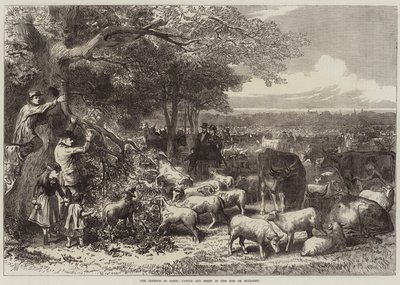 A defesa de Paris, gado e ovelhas no Bois de Boulogne de Arthur Hopkins