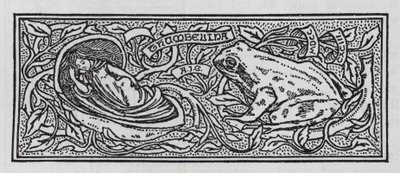 Hans Christian Andersen: Thumbelina (litho) de Arthur Joseph Gaskin