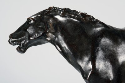 Colt (bronze) de Arthur Putnam