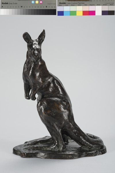 Canguru (bronze) de Arthur Putnam